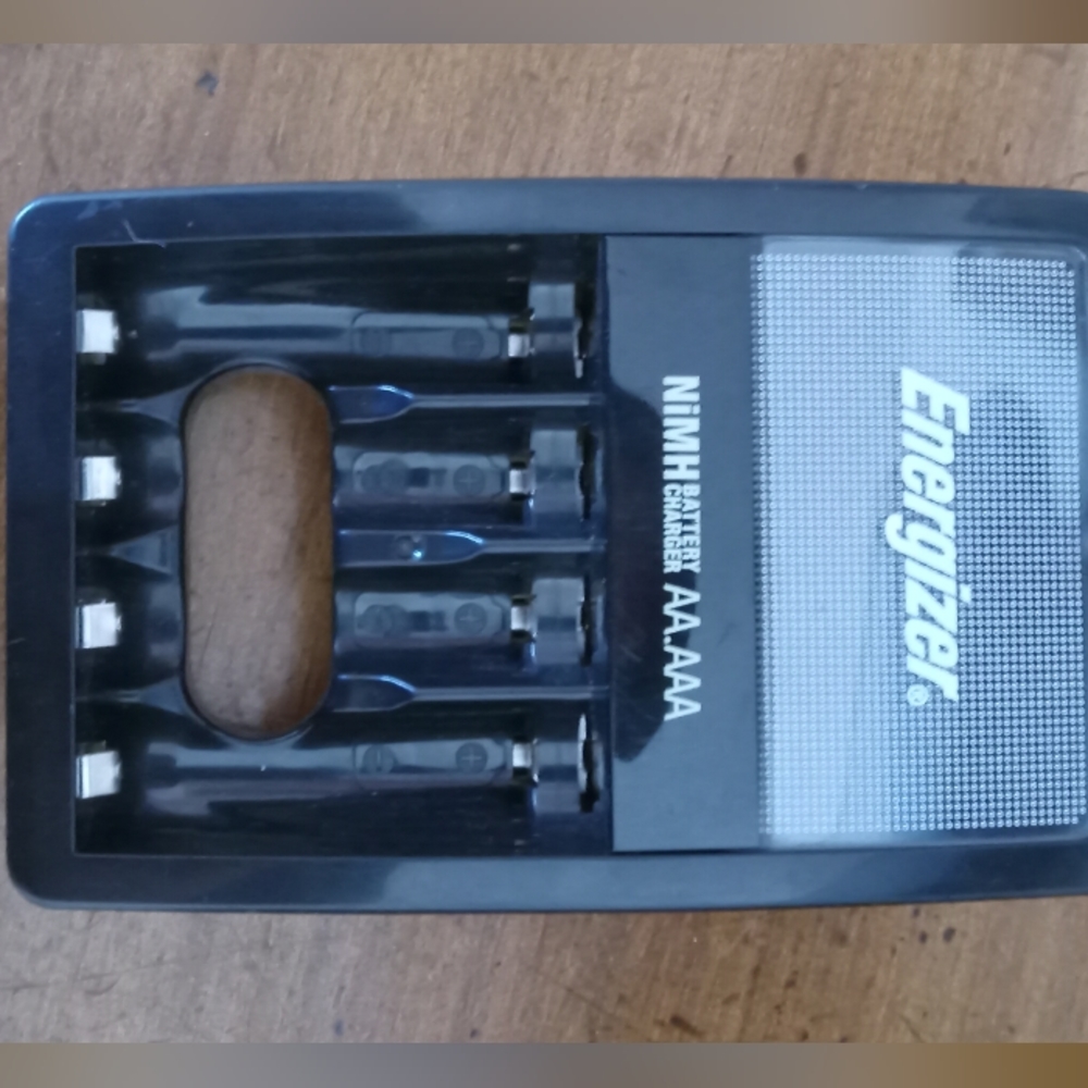 Wall plug in battery charger